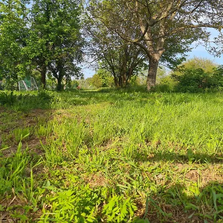 Ferienhaus Janine Ruhig Gelegen Mit Grossem Garten Und Wifi Apartment *